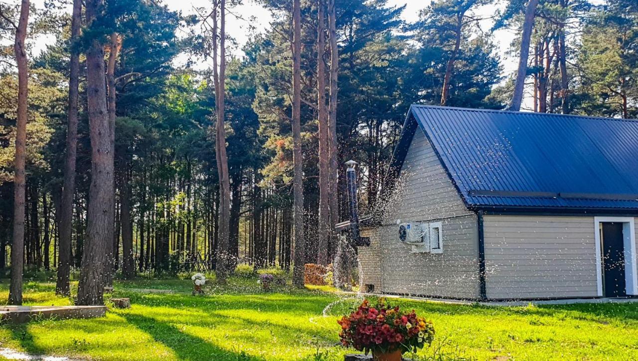 Guest House Saulgriezes Nīca Dış mekan fotoğraf