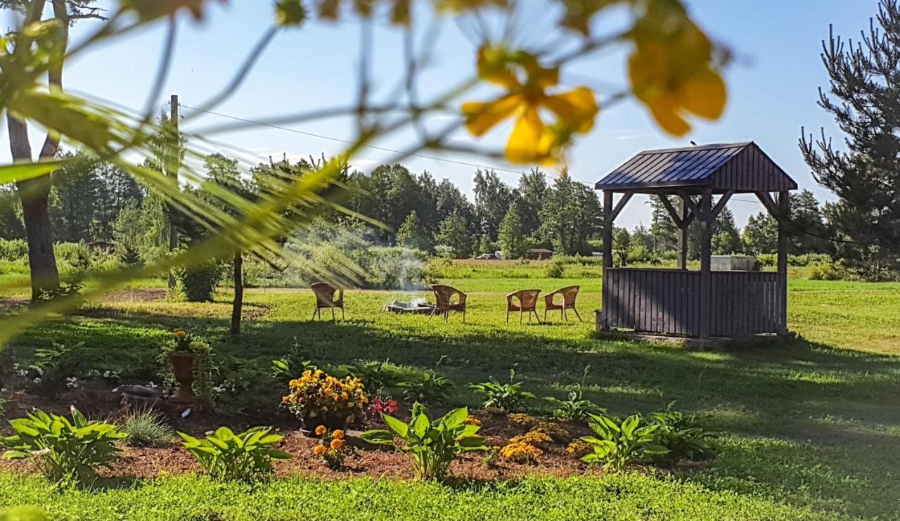 Guest House Saulgriezes Nīca Dış mekan fotoğraf