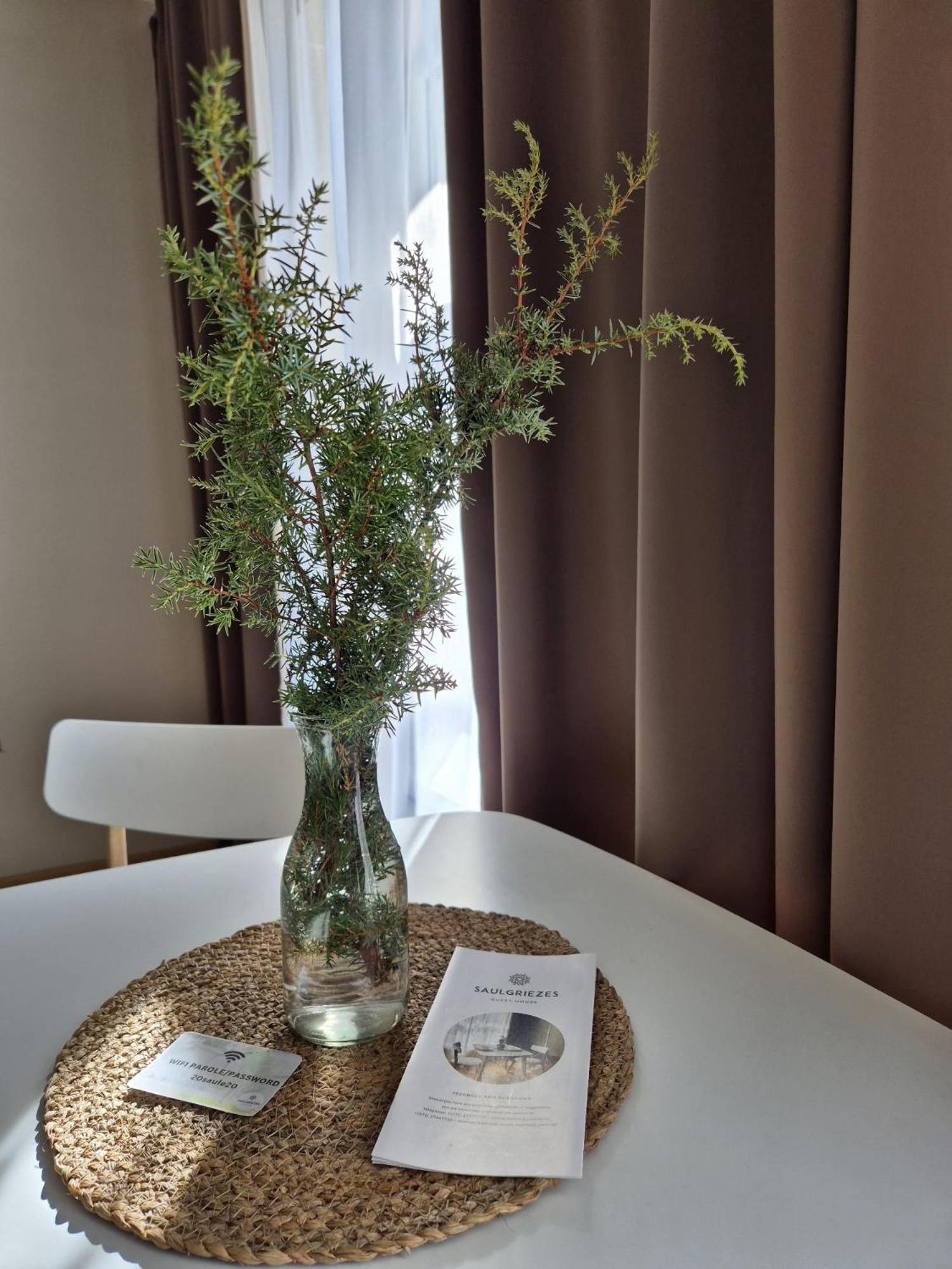 Guest House Saulgriezes Nīca Dış mekan fotoğraf